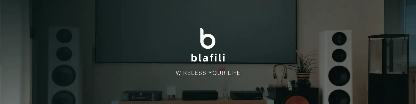 Why Choose Blafili?