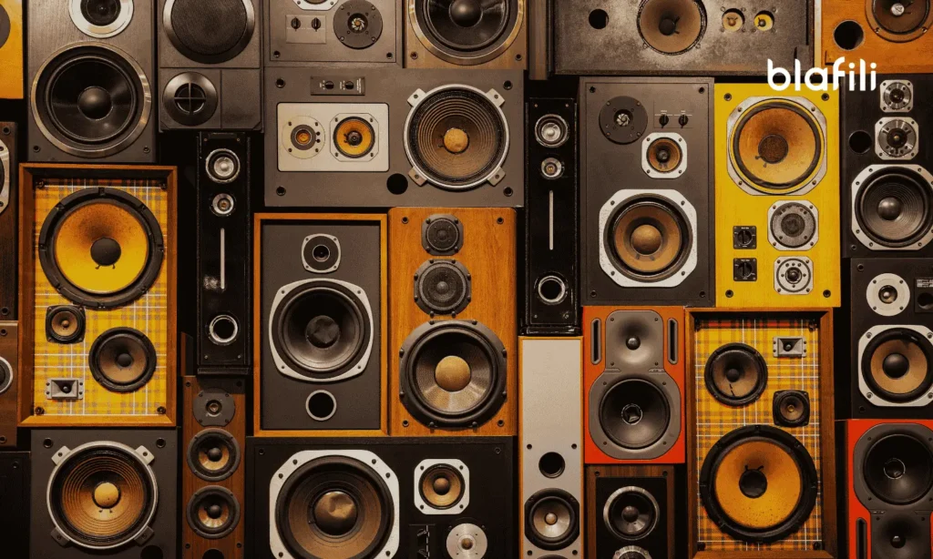 4 Ohm vs. 2 Ohm Speakers Which Is Better Myths Debunked