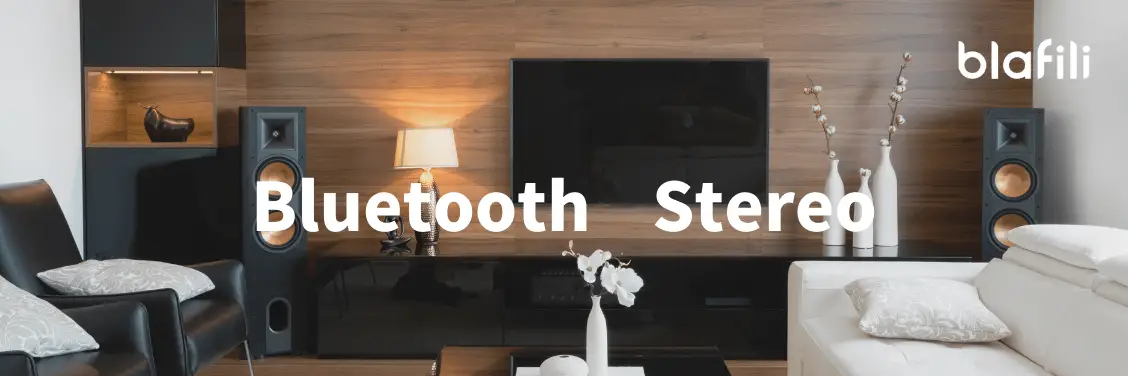 Understanding the Basics What is 5.1 and What is Stereo Understanding the Basics What is 5.1 and What is Stereo