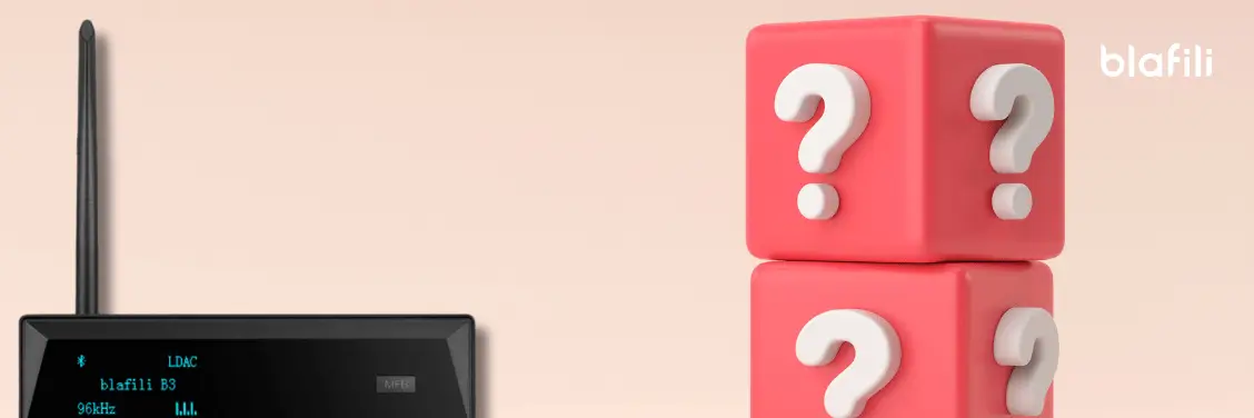 FAQs about the Best Audio Streamers