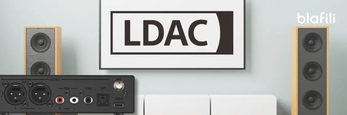 Portability Matters of Mini LDAC converters