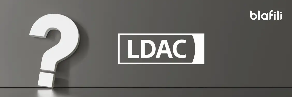 mini ldac converters Everything You Need to Know