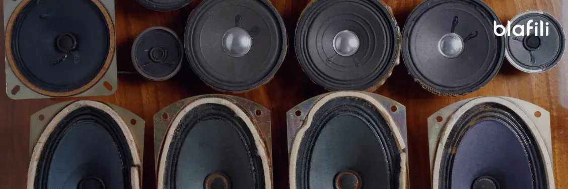 Assessing Your Speaker’s Condition What to Look For