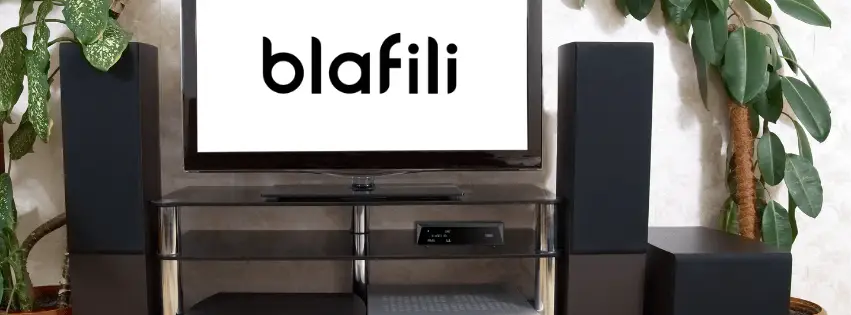 Enjoying Your Revitalized Stereo System