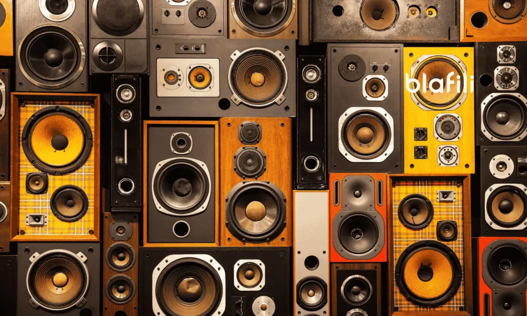 Old Speaker Renovation Dont Trash Transform