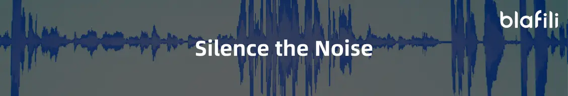 Silence the Noise Eliminating Distortion and Interference