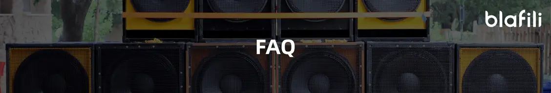 faqs about Old Speaker Renovation