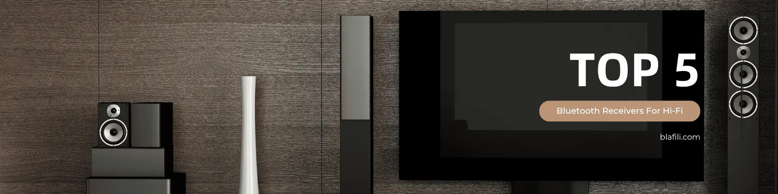 Top 5 Bluetooth Receivers for HiFi Enthusiasts in 2025 Top 5 Bluetooth Receivers for HiFi Enthusiasts in 2025