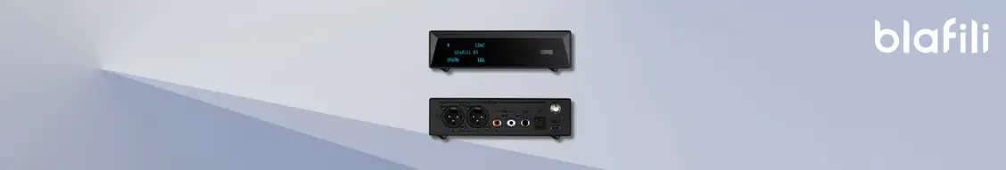 Why a Bluetooth DAC Is Your Gateway to Audiophile Bliss Why a Bluetooth DAC Is Your Gateway to Audiophile Bliss