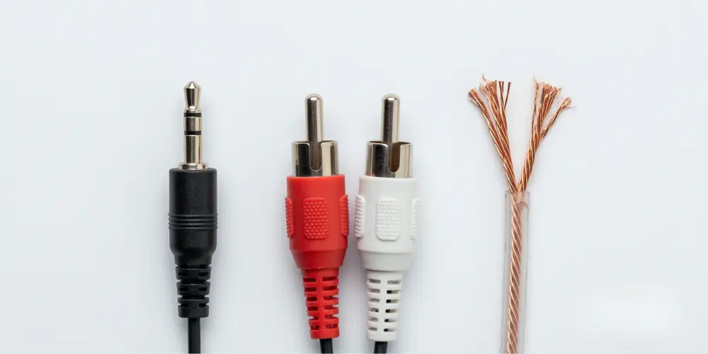 3.5mm, RCA, and Speaker Wire Inputs